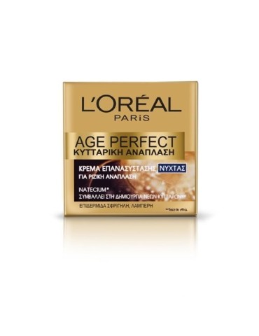 L'OREAL PARIS AGE PERFECT CELL RENEW NIGHT CREAM