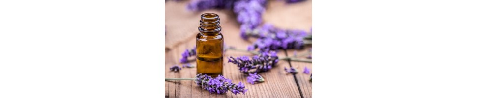 BODY & BATH OILS