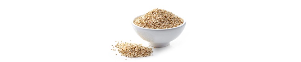 NUTRITION