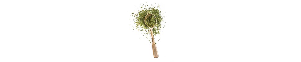 HERBS