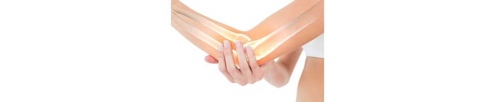 BONE HEALTH
