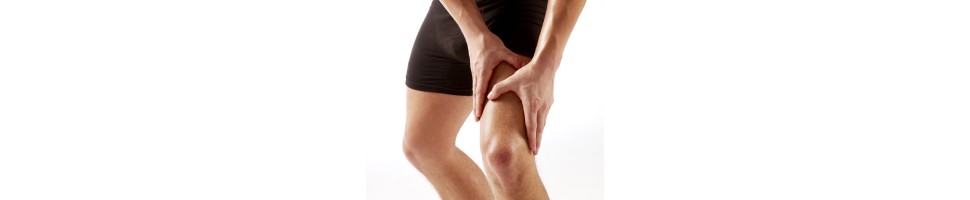 MUSCLE FUNCTION