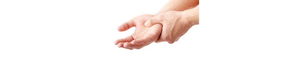 NERVE FUNCTION