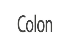 ORTIS COLON